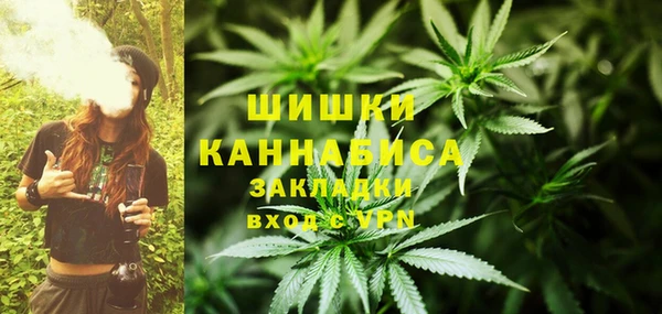 твердый Карпинск