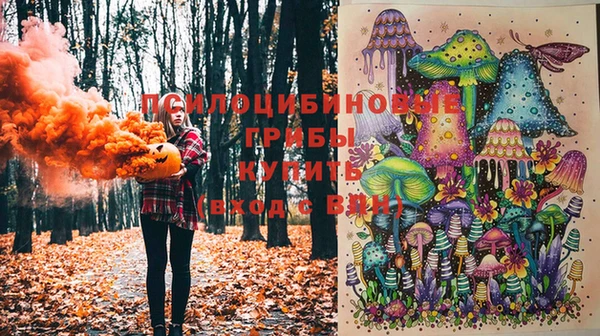 твердый Карпинск