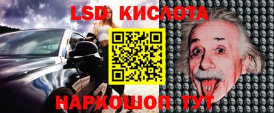прущие крисы Шахты