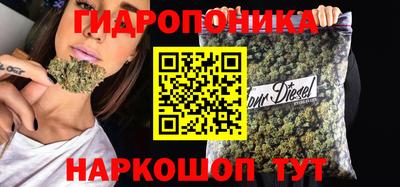 a pvp Донской