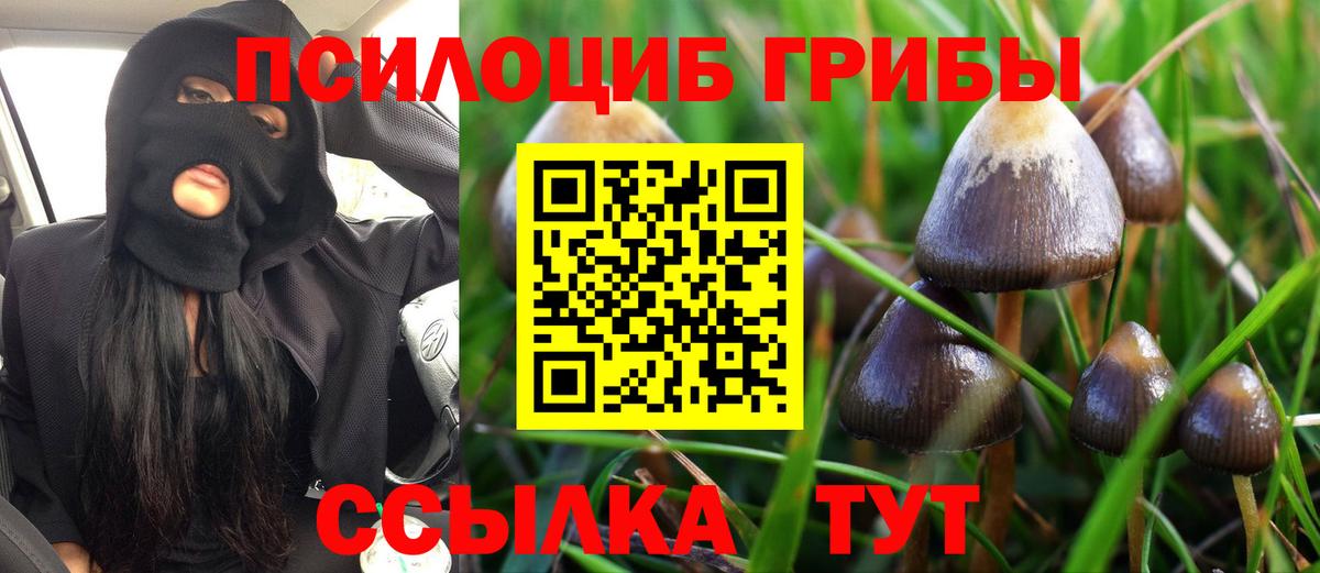 Киреевск  Галлюциногенные грибы GOLDEN TEACHER  где купить наркоту  Вход с VPN 